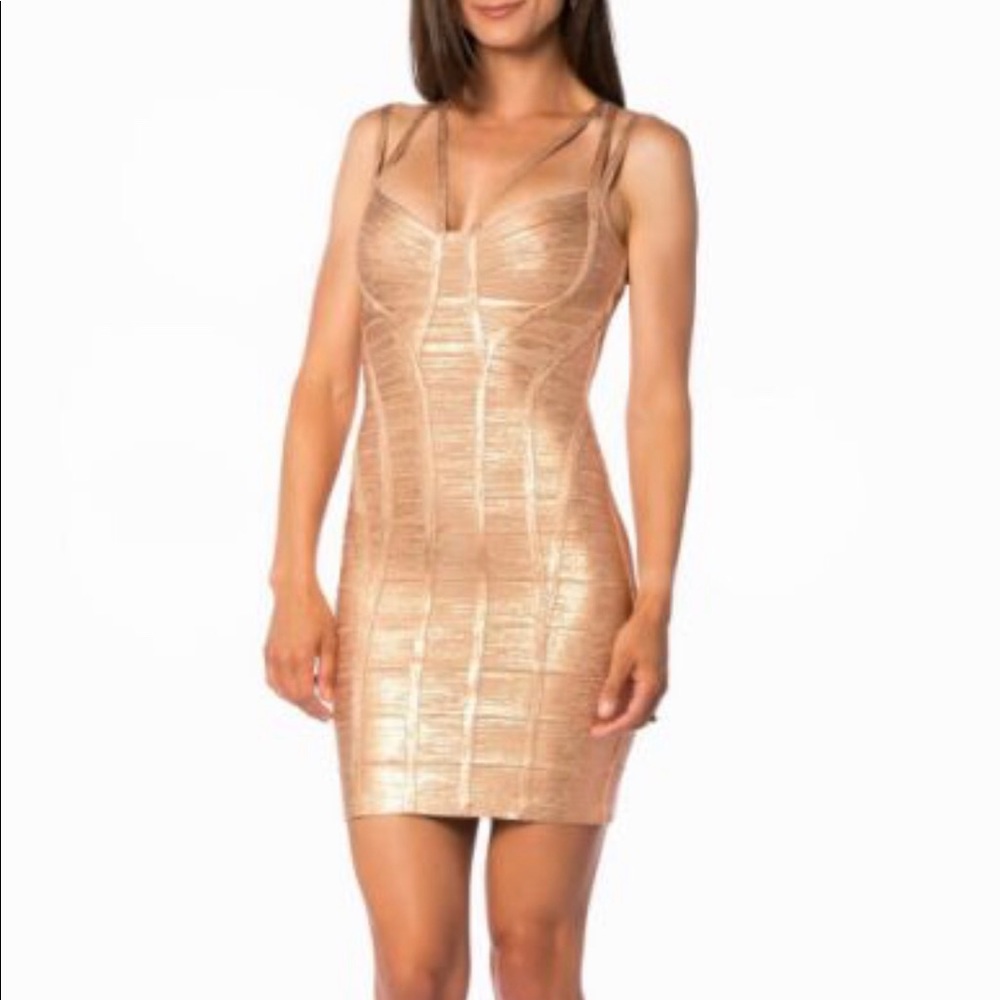 Herve Leger Celestia dress